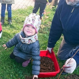 10.10.2019 r. Dzień Drzewa